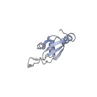 0082_6gxo_T_v1-1
Cryo-EM structure of a rotated E. coli 70S ribosome in complex with RF3-GDPCP, RF1(GAQ) and P/E-tRNA (State IV)