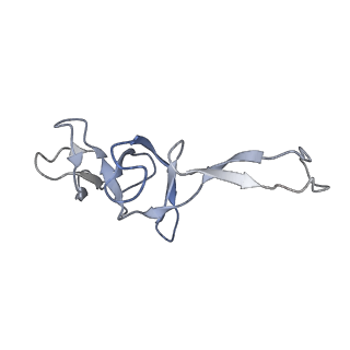0082_6gxo_U_v1-1
Cryo-EM structure of a rotated E. coli 70S ribosome in complex with RF3-GDPCP, RF1(GAQ) and P/E-tRNA (State IV)