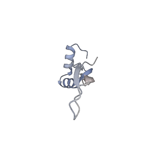 0082_6gxo_X_v1-1
Cryo-EM structure of a rotated E. coli 70S ribosome in complex with RF3-GDPCP, RF1(GAQ) and P/E-tRNA (State IV)