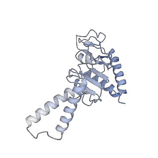 0082_6gxo_b_v1-1
Cryo-EM structure of a rotated E. coli 70S ribosome in complex with RF3-GDPCP, RF1(GAQ) and P/E-tRNA (State IV)