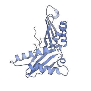 0082_6gxo_c_v1-1
Cryo-EM structure of a rotated E. coli 70S ribosome in complex with RF3-GDPCP, RF1(GAQ) and P/E-tRNA (State IV)
