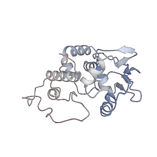 0082_6gxo_d_v1-1
Cryo-EM structure of a rotated E. coli 70S ribosome in complex with RF3-GDPCP, RF1(GAQ) and P/E-tRNA (State IV)