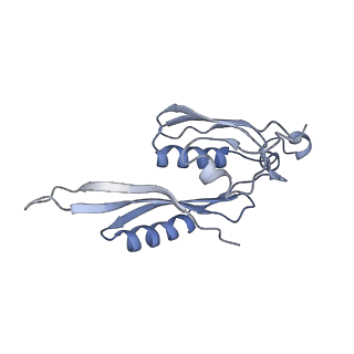 0082_6gxo_e_v1-1
Cryo-EM structure of a rotated E. coli 70S ribosome in complex with RF3-GDPCP, RF1(GAQ) and P/E-tRNA (State IV)