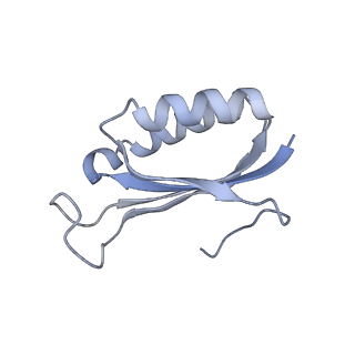 0082_6gxo_f_v1-1
Cryo-EM structure of a rotated E. coli 70S ribosome in complex with RF3-GDPCP, RF1(GAQ) and P/E-tRNA (State IV)