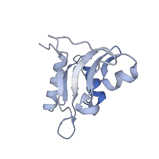 0082_6gxo_h_v1-1
Cryo-EM structure of a rotated E. coli 70S ribosome in complex with RF3-GDPCP, RF1(GAQ) and P/E-tRNA (State IV)