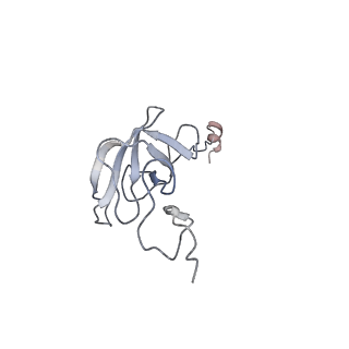 0082_6gxo_l_v1-1
Cryo-EM structure of a rotated E. coli 70S ribosome in complex with RF3-GDPCP, RF1(GAQ) and P/E-tRNA (State IV)