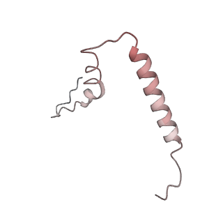 0082_6gxo_u_v1-1
Cryo-EM structure of a rotated E. coli 70S ribosome in complex with RF3-GDPCP, RF1(GAQ) and P/E-tRNA (State IV)