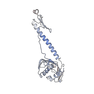 0082_6gxo_v_v1-1
Cryo-EM structure of a rotated E. coli 70S ribosome in complex with RF3-GDPCP, RF1(GAQ) and P/E-tRNA (State IV)