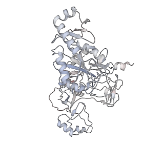0082_6gxo_w_v1-1
Cryo-EM structure of a rotated E. coli 70S ribosome in complex with RF3-GDPCP, RF1(GAQ) and P/E-tRNA (State IV)