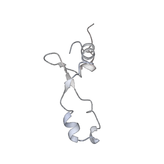 0083_6gxp_3_v1-0
Cryo-EM structure of a rotated E. coli 70S ribosome in complex with RF3-GDPCP(RF3-only)