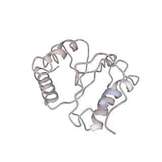0083_6gxp_5_v1-0
Cryo-EM structure of a rotated E. coli 70S ribosome in complex with RF3-GDPCP(RF3-only)