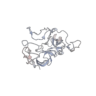 0083_6gxp_C_v1-0
Cryo-EM structure of a rotated E. coli 70S ribosome in complex with RF3-GDPCP(RF3-only)