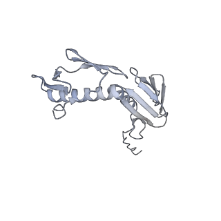 0083_6gxp_G_v1-0
Cryo-EM structure of a rotated E. coli 70S ribosome in complex with RF3-GDPCP(RF3-only)
