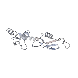 0083_6gxp_H_v1-0
Cryo-EM structure of a rotated E. coli 70S ribosome in complex with RF3-GDPCP(RF3-only)