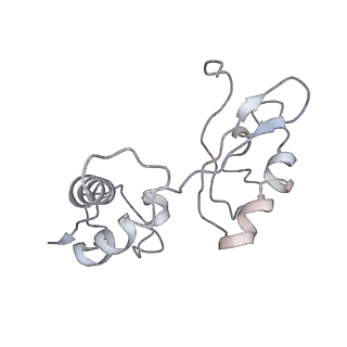 0083_6gxp_I_v1-0
Cryo-EM structure of a rotated E. coli 70S ribosome in complex with RF3-GDPCP(RF3-only)