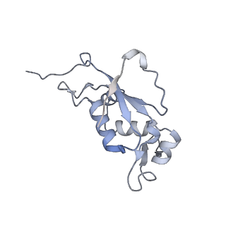 0083_6gxp_J_v1-0
Cryo-EM structure of a rotated E. coli 70S ribosome in complex with RF3-GDPCP(RF3-only)