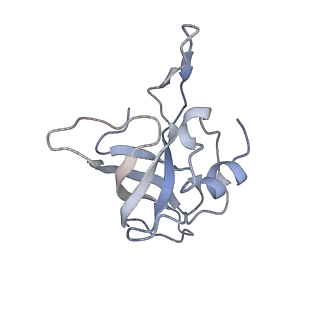 0083_6gxp_K_v1-0
Cryo-EM structure of a rotated E. coli 70S ribosome in complex with RF3-GDPCP(RF3-only)