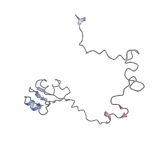 0083_6gxp_L_v1-0
Cryo-EM structure of a rotated E. coli 70S ribosome in complex with RF3-GDPCP(RF3-only)