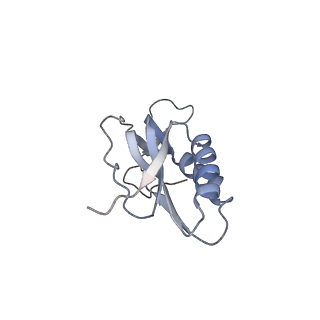0083_6gxp_M_v1-0
Cryo-EM structure of a rotated E. coli 70S ribosome in complex with RF3-GDPCP(RF3-only)