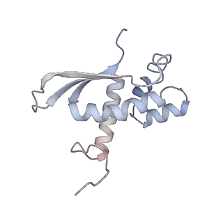 0083_6gxp_N_v1-0
Cryo-EM structure of a rotated E. coli 70S ribosome in complex with RF3-GDPCP(RF3-only)