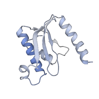 0083_6gxp_O_v1-0
Cryo-EM structure of a rotated E. coli 70S ribosome in complex with RF3-GDPCP(RF3-only)