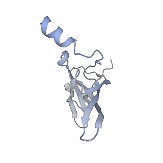 0083_6gxp_P_v1-0
Cryo-EM structure of a rotated E. coli 70S ribosome in complex with RF3-GDPCP(RF3-only)