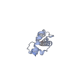 0083_6gxp_Q_v1-0
Cryo-EM structure of a rotated E. coli 70S ribosome in complex with RF3-GDPCP(RF3-only)
