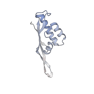 0083_6gxp_S_v1-0
Cryo-EM structure of a rotated E. coli 70S ribosome in complex with RF3-GDPCP(RF3-only)