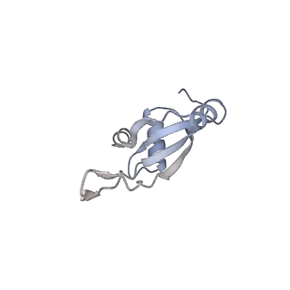 0083_6gxp_T_v1-0
Cryo-EM structure of a rotated E. coli 70S ribosome in complex with RF3-GDPCP(RF3-only)