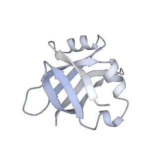 0083_6gxp_V_v1-0
Cryo-EM structure of a rotated E. coli 70S ribosome in complex with RF3-GDPCP(RF3-only)