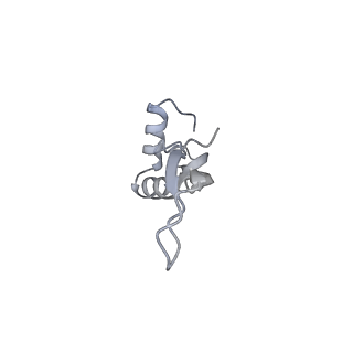 0083_6gxp_X_v1-0
Cryo-EM structure of a rotated E. coli 70S ribosome in complex with RF3-GDPCP(RF3-only)