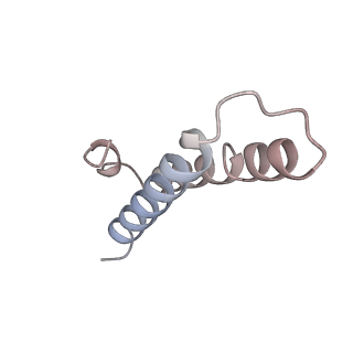0083_6gxp_Y_v1-0
Cryo-EM structure of a rotated E. coli 70S ribosome in complex with RF3-GDPCP(RF3-only)