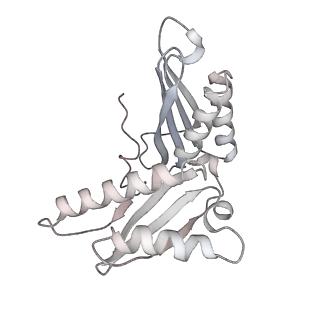 0083_6gxp_c_v1-0
Cryo-EM structure of a rotated E. coli 70S ribosome in complex with RF3-GDPCP(RF3-only)