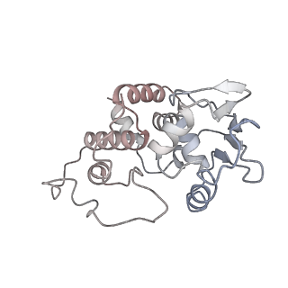 0083_6gxp_d_v1-0
Cryo-EM structure of a rotated E. coli 70S ribosome in complex with RF3-GDPCP(RF3-only)