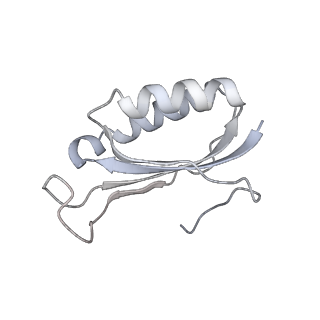 0083_6gxp_f_v1-0
Cryo-EM structure of a rotated E. coli 70S ribosome in complex with RF3-GDPCP(RF3-only)