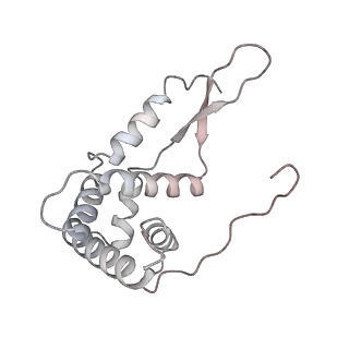 0083_6gxp_g_v1-0
Cryo-EM structure of a rotated E. coli 70S ribosome in complex with RF3-GDPCP(RF3-only)