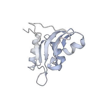 0083_6gxp_h_v1-0
Cryo-EM structure of a rotated E. coli 70S ribosome in complex with RF3-GDPCP(RF3-only)