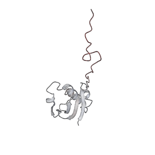 0083_6gxp_i_v1-0
Cryo-EM structure of a rotated E. coli 70S ribosome in complex with RF3-GDPCP(RF3-only)