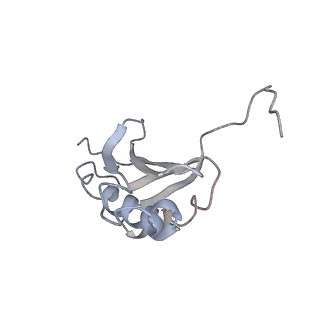 0083_6gxp_k_v1-0
Cryo-EM structure of a rotated E. coli 70S ribosome in complex with RF3-GDPCP(RF3-only)