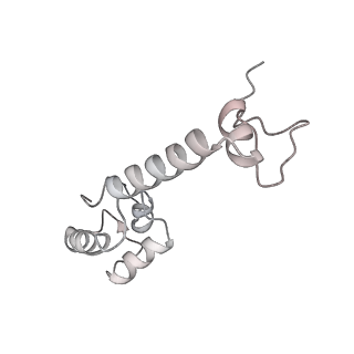 0083_6gxp_m_v1-0
Cryo-EM structure of a rotated E. coli 70S ribosome in complex with RF3-GDPCP(RF3-only)