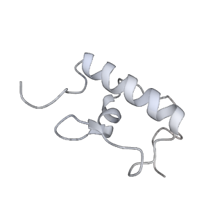 0083_6gxp_r_v1-0
Cryo-EM structure of a rotated E. coli 70S ribosome in complex with RF3-GDPCP(RF3-only)