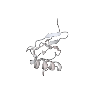 0083_6gxp_s_v1-0
Cryo-EM structure of a rotated E. coli 70S ribosome in complex with RF3-GDPCP(RF3-only)