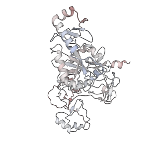 0083_6gxp_w_v1-0
Cryo-EM structure of a rotated E. coli 70S ribosome in complex with RF3-GDPCP(RF3-only)