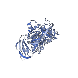 34362_8gxu_B_v1-2
1 ATP-bound V1EG of V/A-ATPase from Thermus thermophilus
