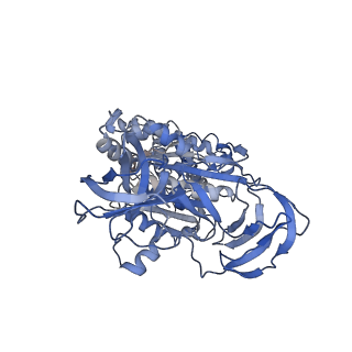 34362_8gxu_C_v1-2
1 ATP-bound V1EG of V/A-ATPase from Thermus thermophilus