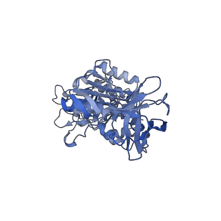 34362_8gxu_D_v1-2
1 ATP-bound V1EG of V/A-ATPase from Thermus thermophilus