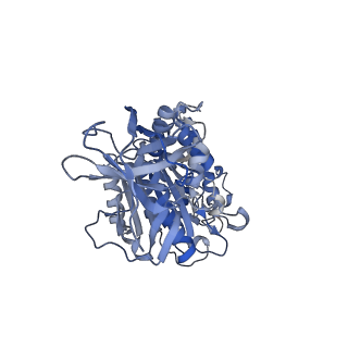 34362_8gxu_E_v1-2
1 ATP-bound V1EG of V/A-ATPase from Thermus thermophilus