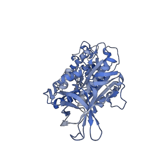 34362_8gxu_F_v1-2
1 ATP-bound V1EG of V/A-ATPase from Thermus thermophilus