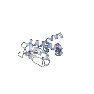 34362_8gxu_L_v1-2
1 ATP-bound V1EG of V/A-ATPase from Thermus thermophilus