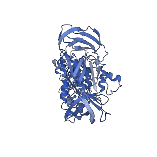 34363_8gxw_A_v1-2
2 ATP-bound V1EG of V/A-ATPase from Thermus thermophilus